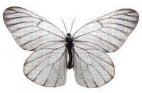 Kaz_Creations Silver Deco Colours Butterfly White - png gratuito