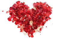 Coeur.Heart.Love.pétales.petals.Valentine's day.Saint Valentin.Red.Victoriabea - GIF animé gratuit