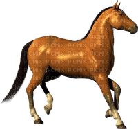 Zizi_Diamond Horse - ilmainen png