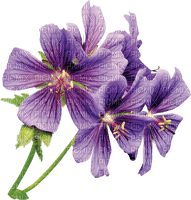 Blumen - безплатен png