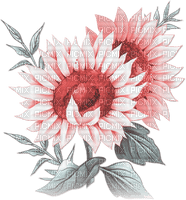 soave deco flowers sunflowers branch pink teal - png ฟรี