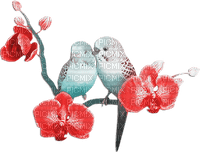 soave deco summer tropical bird parrot branch - gratis png