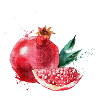 pomegranate Bb2 - nemokama png