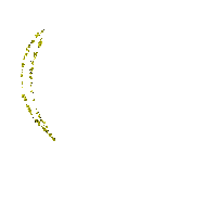 coe jaune  yellow - Бесплатни анимирани ГИФ