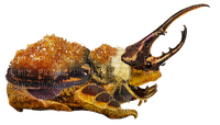 citrine beetle knight frog - ücretsiz png