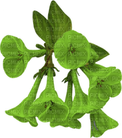 Kaz_Creations Deco St.Patricks Day Deco Flowers - PNG gratuit
