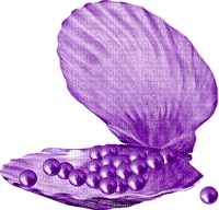 Seashell.Pearls.Purple - 免费PNG