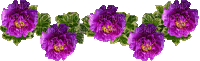 Flowers - Ilmainen animoitu GIF