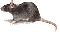 mouse bp - Gratis geanimeerde GIF