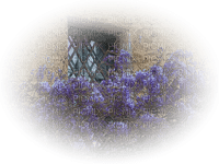 minou-window-fönster-flower - PNG gratuit