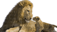 Lion - PNG gratuit