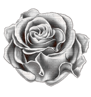 gothic rose by nataliplus - PNG gratuit