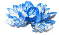 Flowers.Blue.White - PNG gratuit