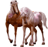 Kaz_Creations Animals Horses Horse - безплатен png
