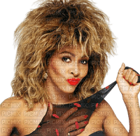 Tina Turner - Bogusia - nemokama png
