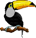 Bird - GIF animado grátis