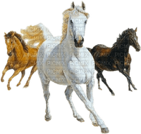 animales - Free PNG