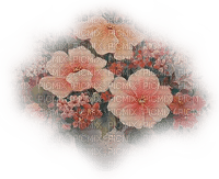 minou-flower-blomma-fiori-fleur - PNG gratuit