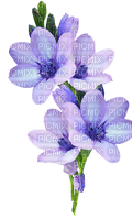 Flowers mauve bp - PNG gratuit