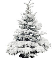 Boom in sneeuw - Besplatni animirani GIF