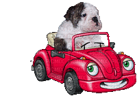Kaz_Creations Dog Animated Car