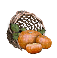 pumpkin Bb2 - 免费PNG