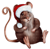 Kaz_Creations Rat-Mouse - 免费PNG