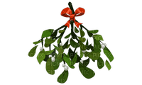 mistletoe bp - png grátis