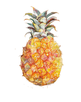 Ananas - besplatni png