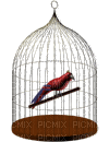 cage oiseau - GIF animate gratis
