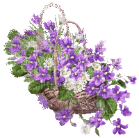 MMarcia gif  glitter deco  flores lilas - GIF animate gratis