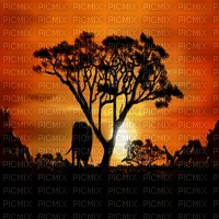 African background sunshine3 - zadarmo png