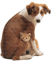 Kaz_Creations Dog Pup Cat Kitten - png gratuito