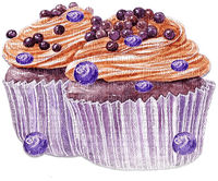 soave deco  fruit summer  blueberries cake cup - gratis png