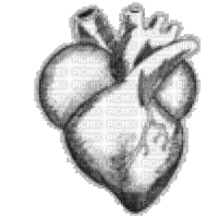 Beating heart - 免费动画 GIF