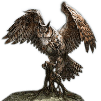 Rena Eule Owl Bird Vogel - zdarma png