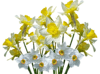 flowers yellow bp - PNG gratuit
