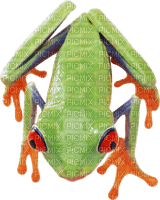 Kaz_Creations Frog Toad - ücretsiz png