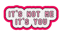 ✶ It's not Me It's You {by Merishy} ✶ - kostenlos png