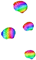 Seashells.Rainbow - PNG gratuit