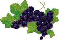 blackcurrant Bb2 - 免费PNG