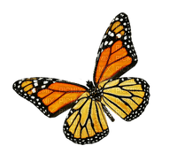 ✶ Butterfly {by Merishy} ✶ - ücretsiz png