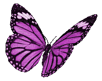 Papillon.Butterfly.Purple.Mauve.Victoriabea
