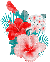 Y.A.M._Summer flowers - Бесплатни анимирани ГИФ