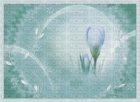 bg-blå- blommor---background--blue-flowers - png gratis