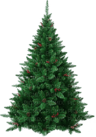 ✶ Christmas Tree {by Merishy} ✶ - безплатен png