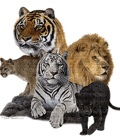 Kaz_Creations Animals Animal - PNG gratuit