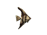fish - Бесплатный анимированный гифка