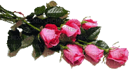 Розы - GIF animado gratis