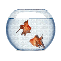 Fishbowl.Pecera.Gif.Deco.Victoriabea - Free animated GIF